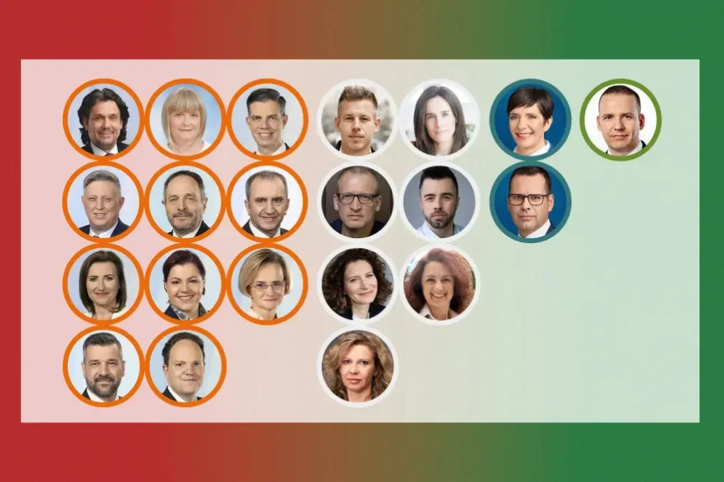 These are the 21 who will be representing Hungary in the EP