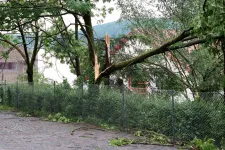 Fákat döntött ki, áramszünetet okozott a vihar Hargita megyében