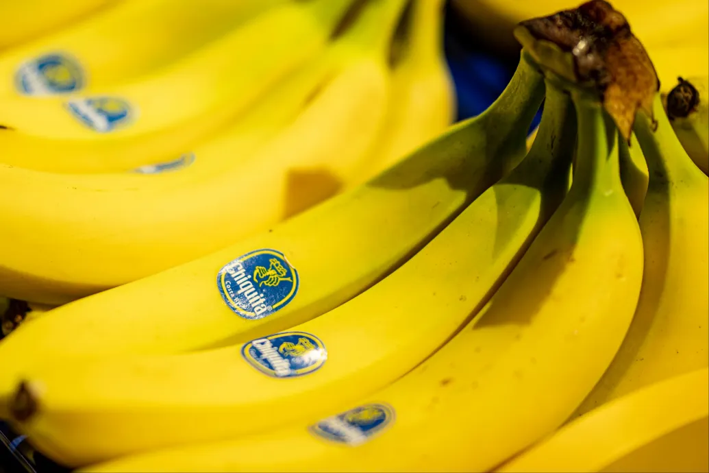 Több millió dolláros kártérítést kell fizetnie a Chiquitának a kolumbiai terrorszervezet pénzelése miatt