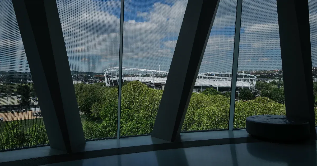 Stuttgart: erdő, szőlő, magyar foci