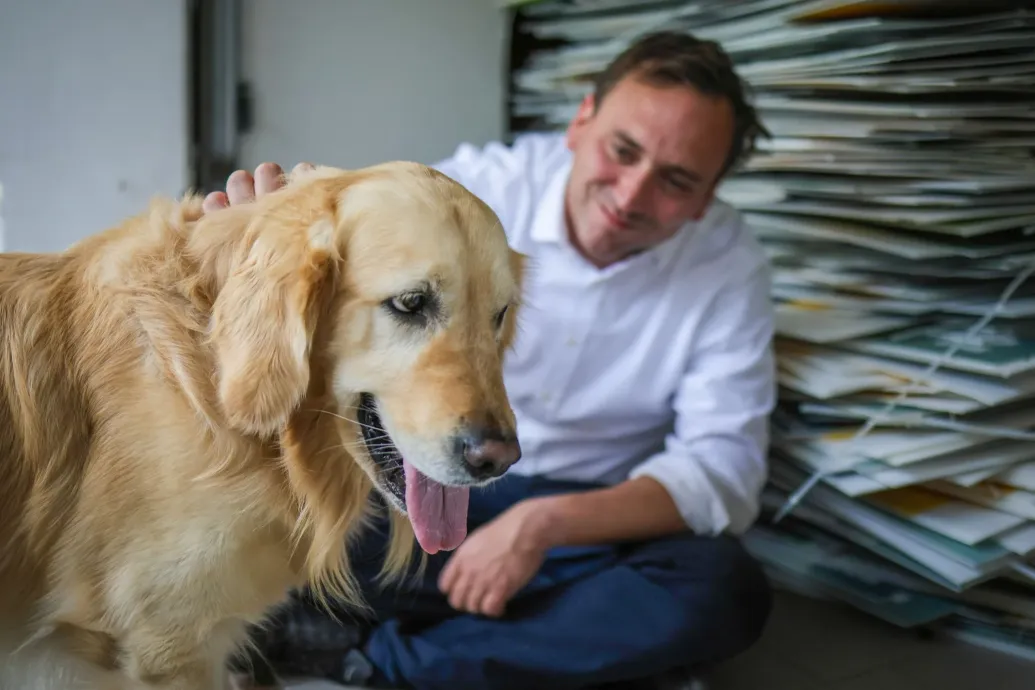 Állatmenhelyeken hasznosítják a lekerülő Őrsi Gergely-táblákat
