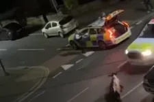 Elgázolták és ráhajtottak – angol rendőrök autóval állítottak meg egy elszabadult tehenet