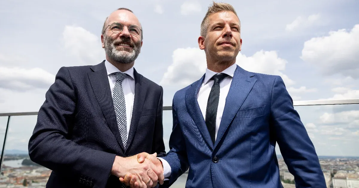 Megszavazták a követői, hogy Magyar Péter beüljön az Európai Parlamentbe