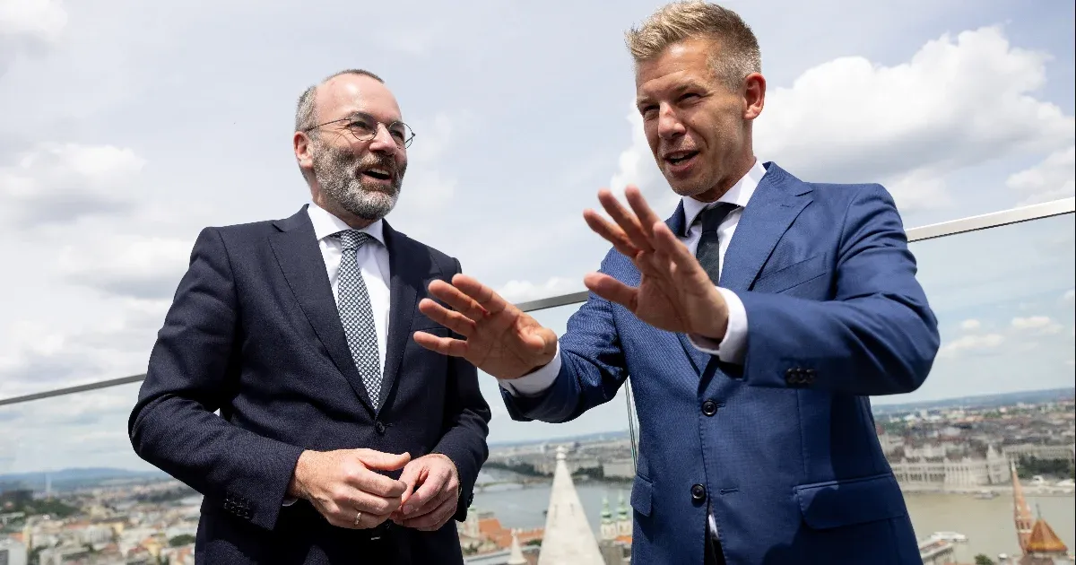 Magyar Péter hívei nagy többséggel megszavazták, hogy legyen EP-képviselő