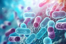 Magyar kutatók új antibiotikumot fejlesztettek ki, ami képes roncsolni a baktériumok sejtfalát