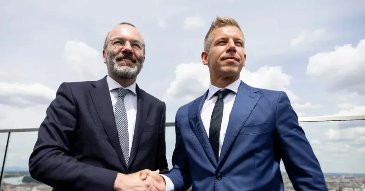 Magyar Péter beül az Európai Parlamentbe, fizetése felét jótékony célokra fogja felajánlani