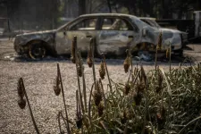 Hőmérsékleti rekordok dőltek meg az Egyesült Államokban, Új-Mexikóban már halálos áldozata is van az erdőtüzeknek