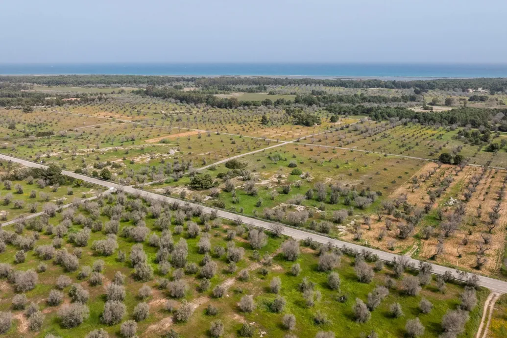 Az út szélén hagyták meghalni Olaszországban a csonkolt karú napszámost