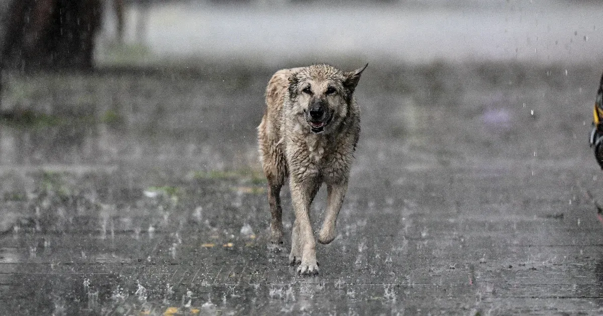 Keleten vasárnap jégeső és viharok válthatják a perzselő hőséget