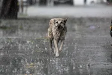 Keleten vasárnap jégeső és viharok válthatják a perzselő hőséget