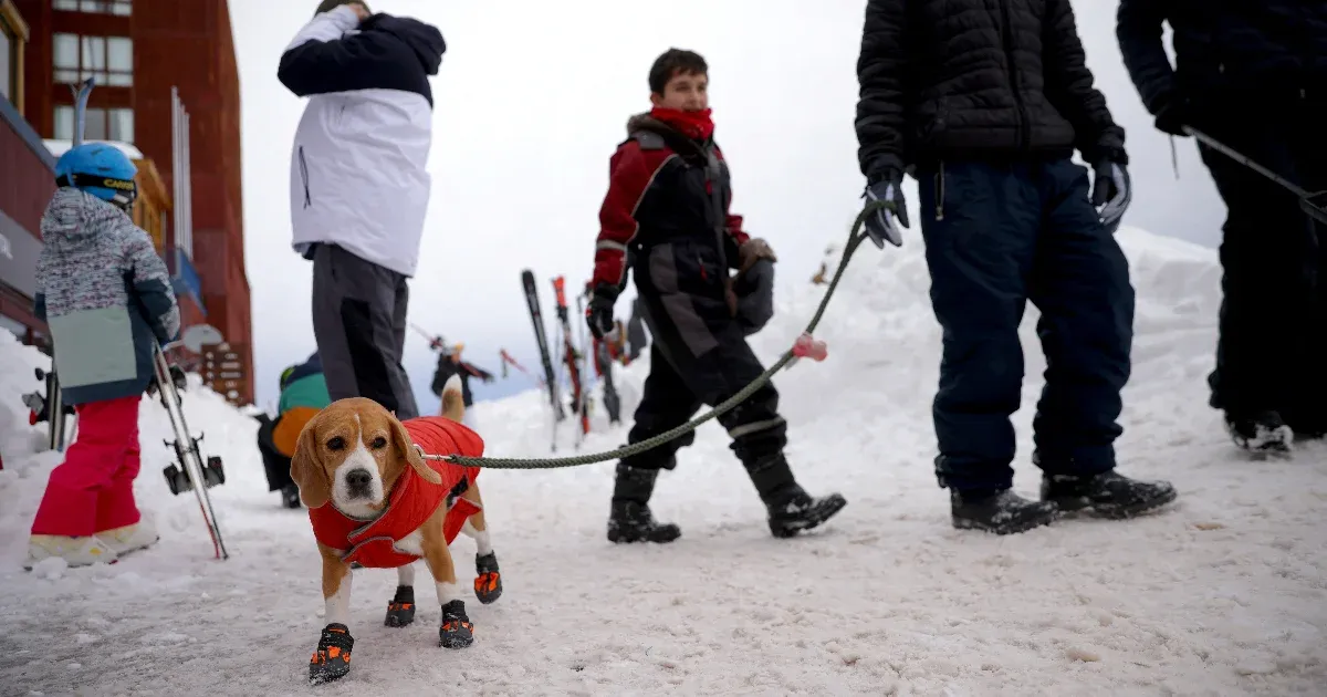 La temporada de esquí está en pleno apogeo en Chile y hay grandes nevadas en toda Sudamérica