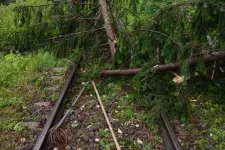 Fákat döntött ki, áramszünetet okozott a vihar Erdélyben