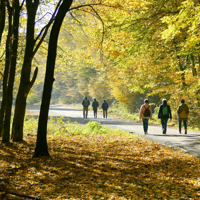 Az állami gát ellenére is egyre több nyugdíjas dolgozik