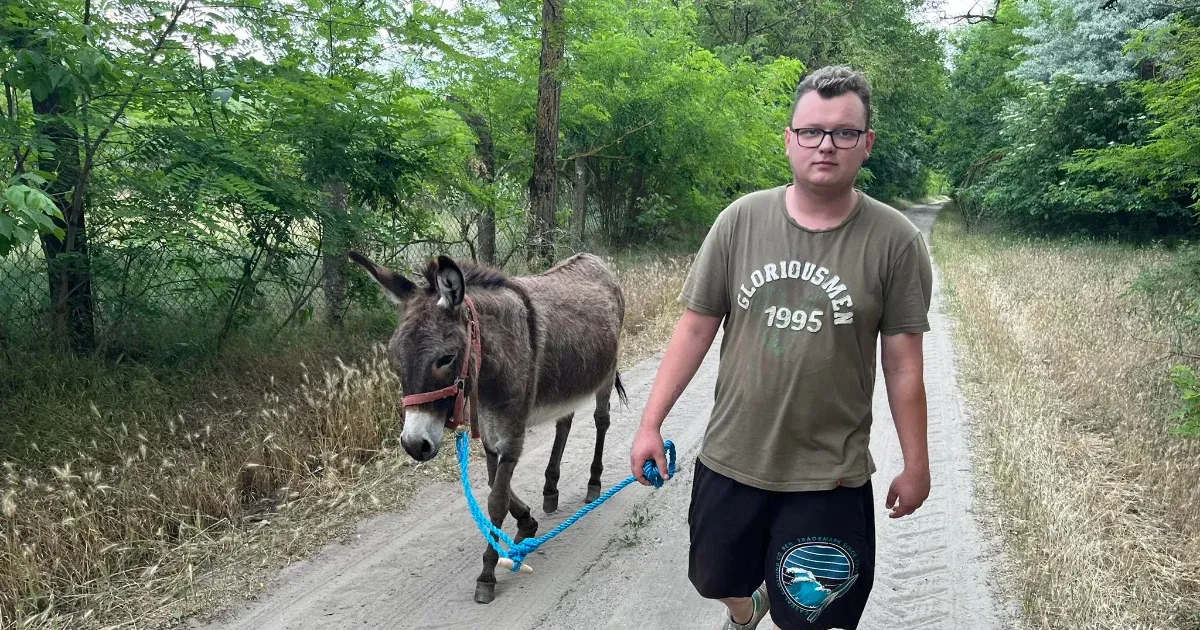 700 ezer forintnyi szénát tudott venni az adományokból az országot szamárral végiggyalogló Koszonits Patrik