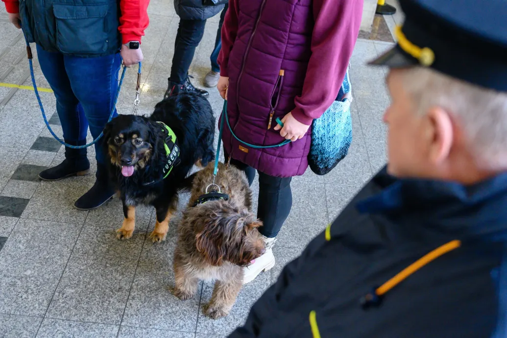 Szerdától nem kell szállítódoboz a kutyáknak a balatoni vonatokon