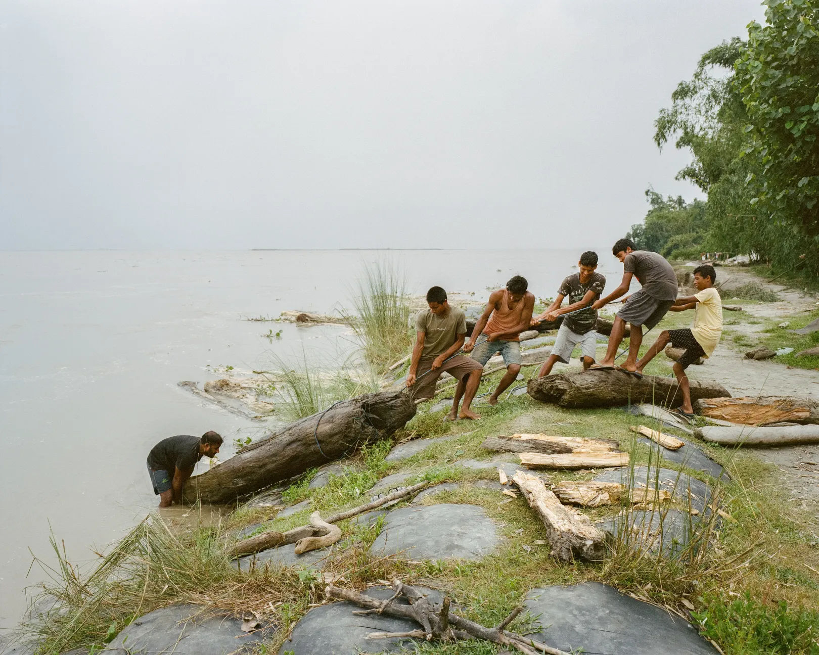 Ahato Guri, Majuli, India (2021). A monszun évszakban az egyetlen bevételi forrás az uszadékfák összegyűjtése a folyóból a későbbi értékesítés céljából. A képen falusiak segítenek kihúzni egy körülbelül mázsás darabot a Brahmaputrából. A rönköket szárítás és feldarabolás után tisztességes áron tudják eladni – Fotó: Zoltai András