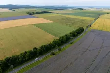 Közel 20 ezer hektárnyi földet ad el az állam