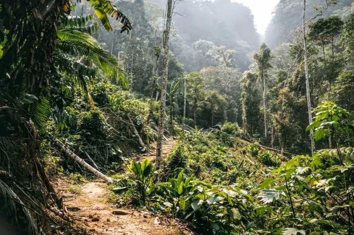 Carreteras peruanas de diferente calidad - Foto: Benedek Heysik