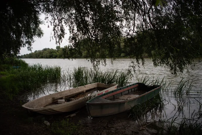 A Bodrog partja Szegiben – Fotó: Bődey János / Telex