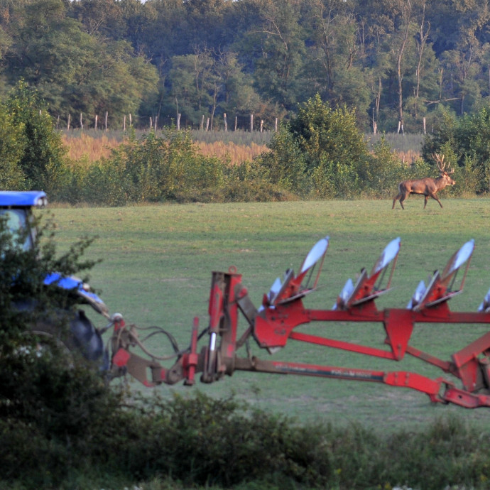 Versenyhátrányba kerülhetnek a magyar gazdák, mégis nehezen váltanak a talajművelésben