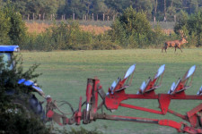 Versenyhátrányba kerülhetnek a magyar gazdák, mégis nehezen váltanak a talajművelésben