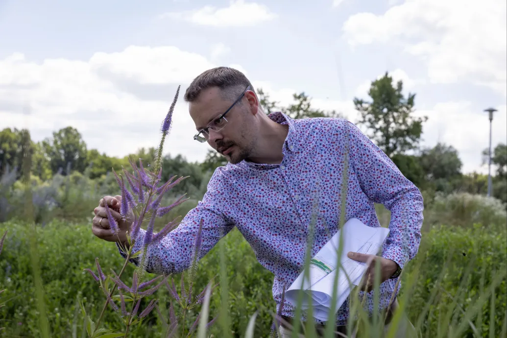 Feltűnően hallgat a Fővárosi Önkormányzat a Főkert igazgatójának kirúgásáról