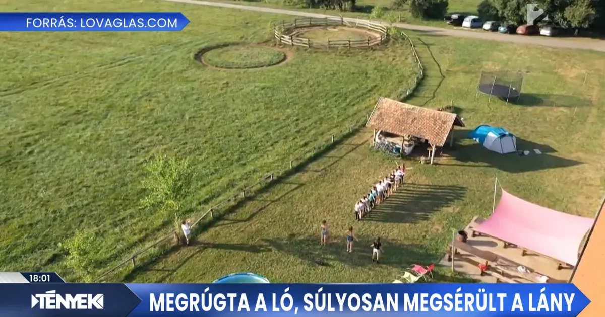 Megrúgta egy ló, mentőhelikopterrel kellett kórházba szállítani a nyolcéves kislányt