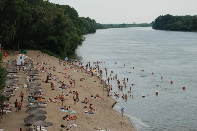 A hőségben népszerű a Tisza „Lapos Beach” szabadstrandja – Fotó: Móra Ferenc Sándor / Telex