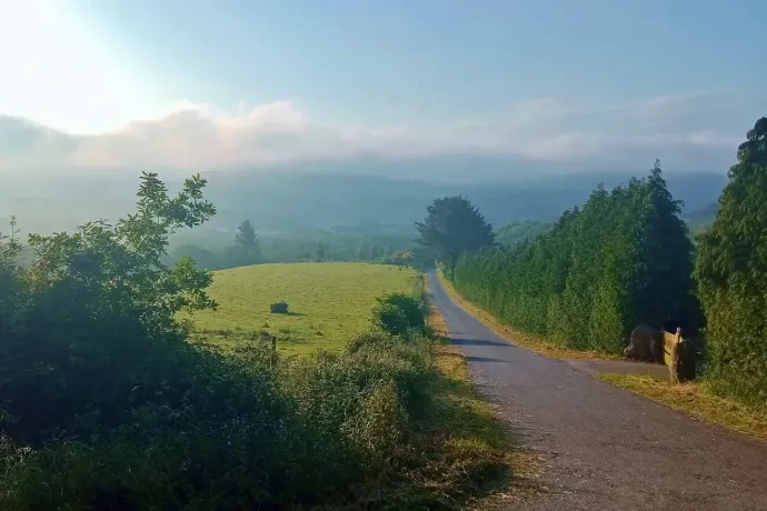 Fotó: Elekes Balázs