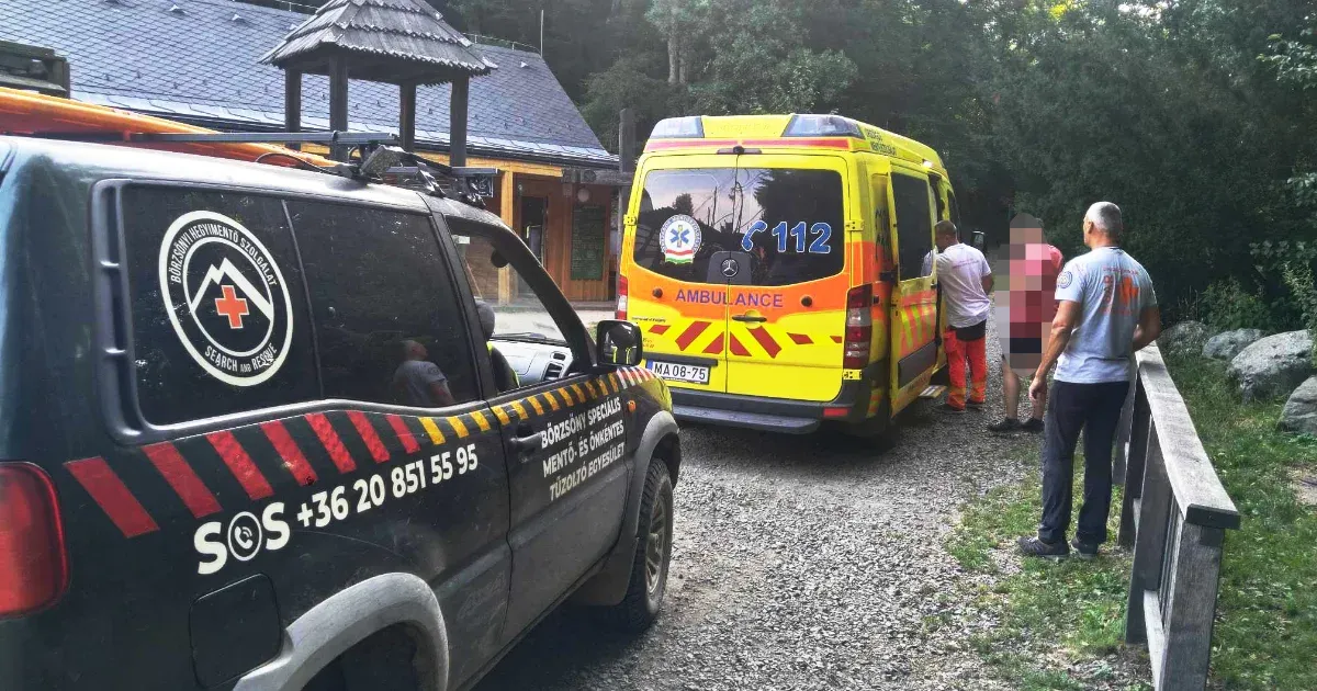 Túrázás közben kiszáradt gyereket mentettek a hegyimentők a Börzsönyben