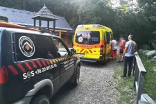 Túrázás közben kiszáradt gyereket mentettek a hegyimentők a Börzsönyben