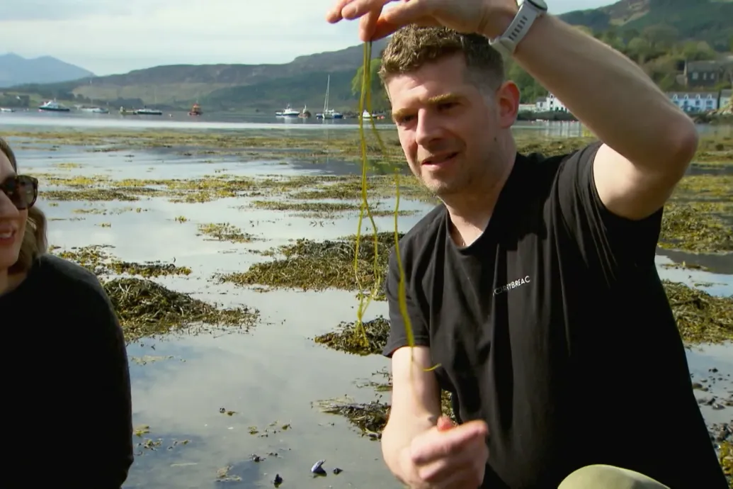 Óvná a Földet? Egyen algát!