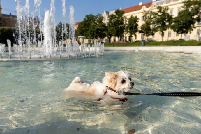 A jövő hét második feléig meghosszabbították a harmadfokú hőségriasztást