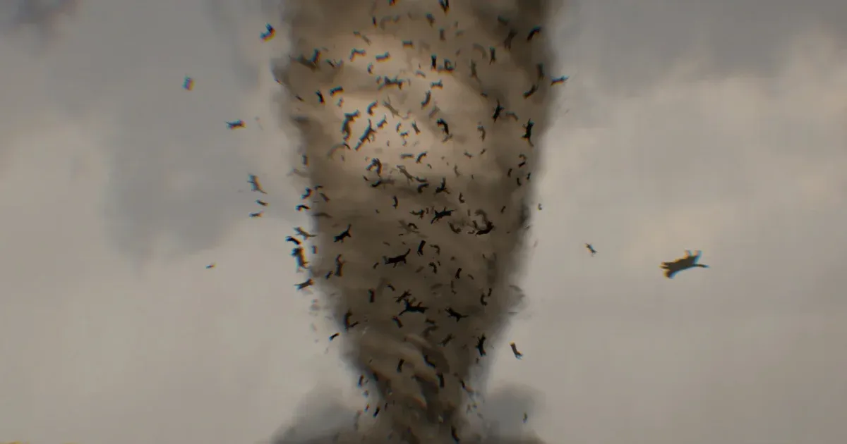 Nem áll meg a Sharknado-jelenség, jön a Macskatornádó című horror