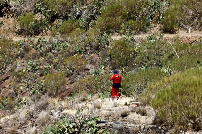 Un bombero voluntario busca en la zona del Parque Nacional Rural de Teno - Fotografía: Reuters/Borja Suarez