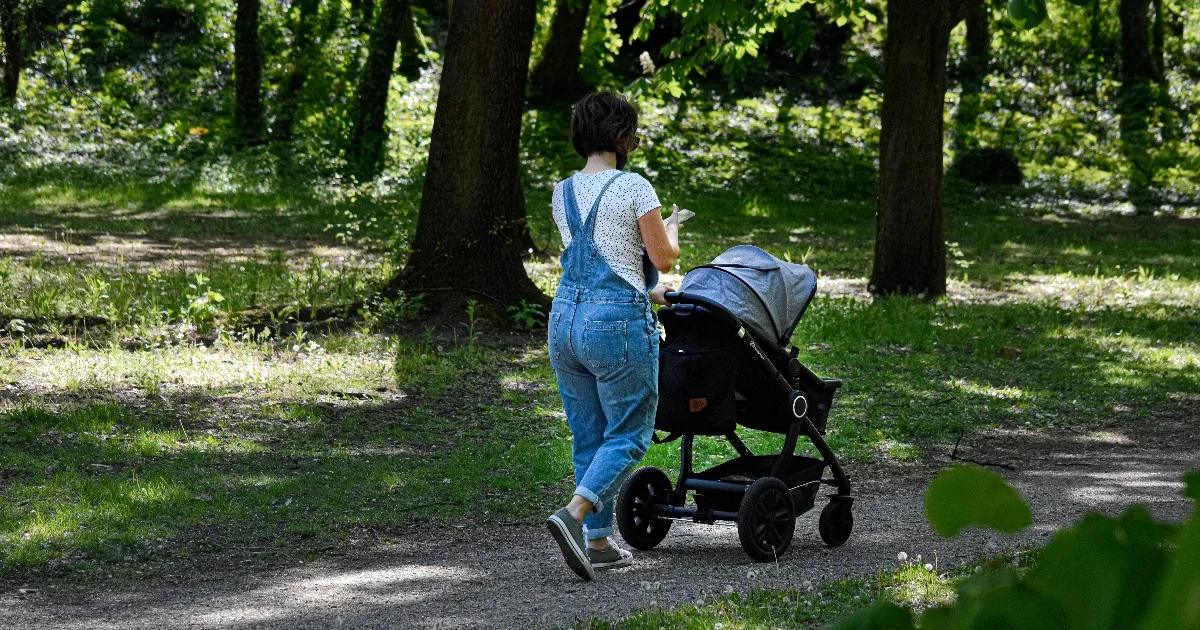 Puskás Peti: Ha ilyen a hordozód, egy hülye szar anya vagy, ha másfajta, akkor egy idióta szar anya vagy