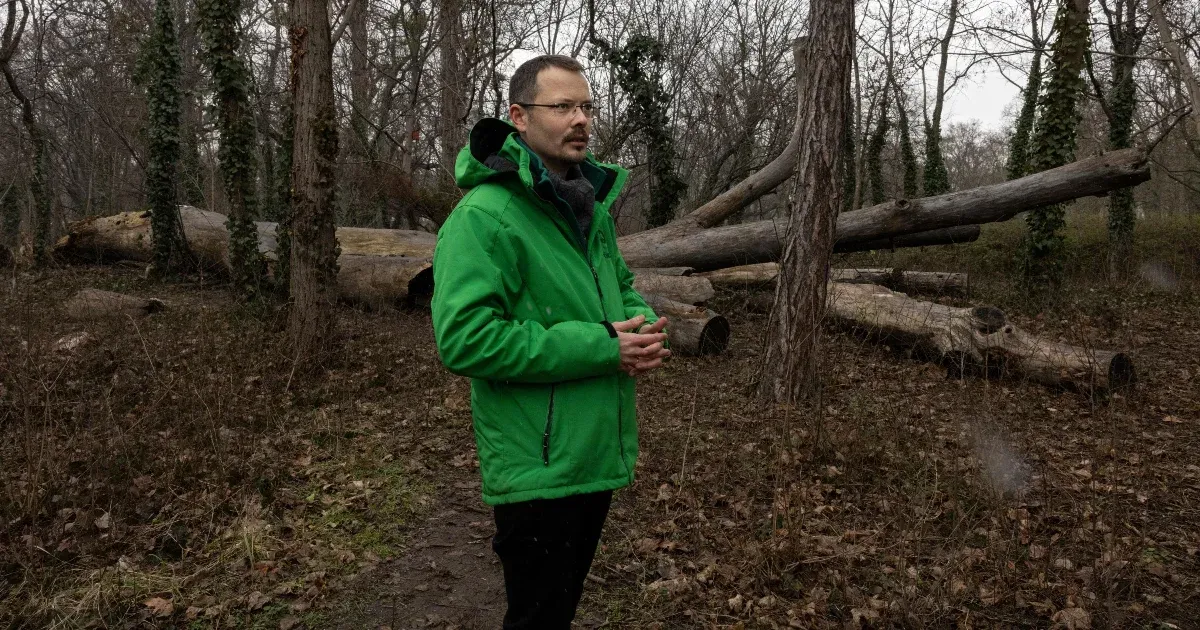 Ő sem érti, mi történt – mondta a kirúgott Főkert-főigazgató