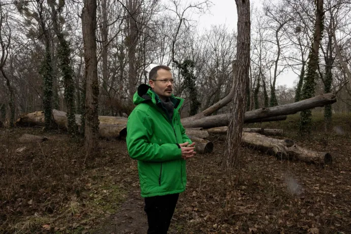 Ő sem érti, mi történt – mondta a kirúgott Főkert-főigazgató