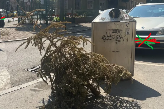 Ez csak nem lehet egy júliusban utcára dobott karácsonyfa!