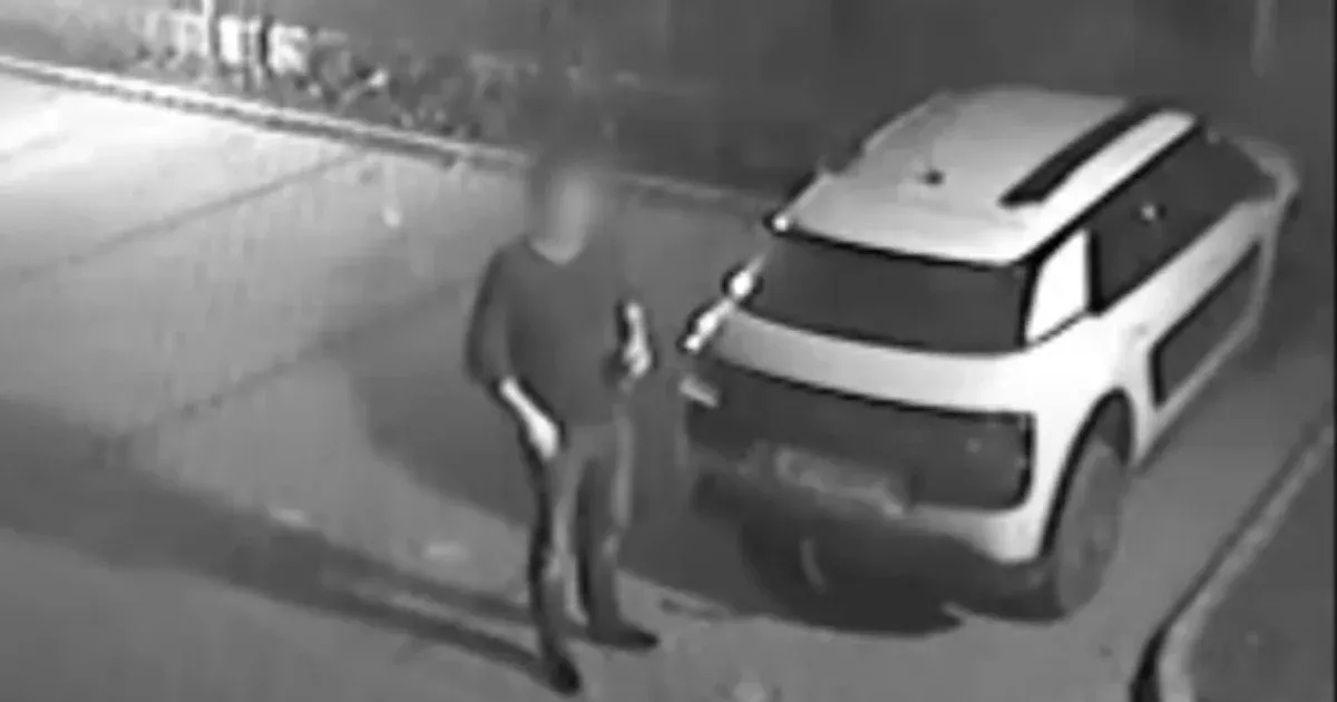 Új videó került elő Novozánszki Fanni gyilkosáról