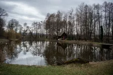 Amikor te szökőkutat építettél, mi napelemet vettünk