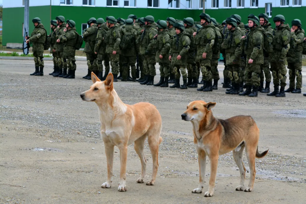 Putyin nagyot emelt az új szerződéses katonák fizetésén