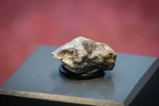 4,5 milliárd éves az a záptojásszagú meteorit, amelynek darabjait Berlin mellett találták meg