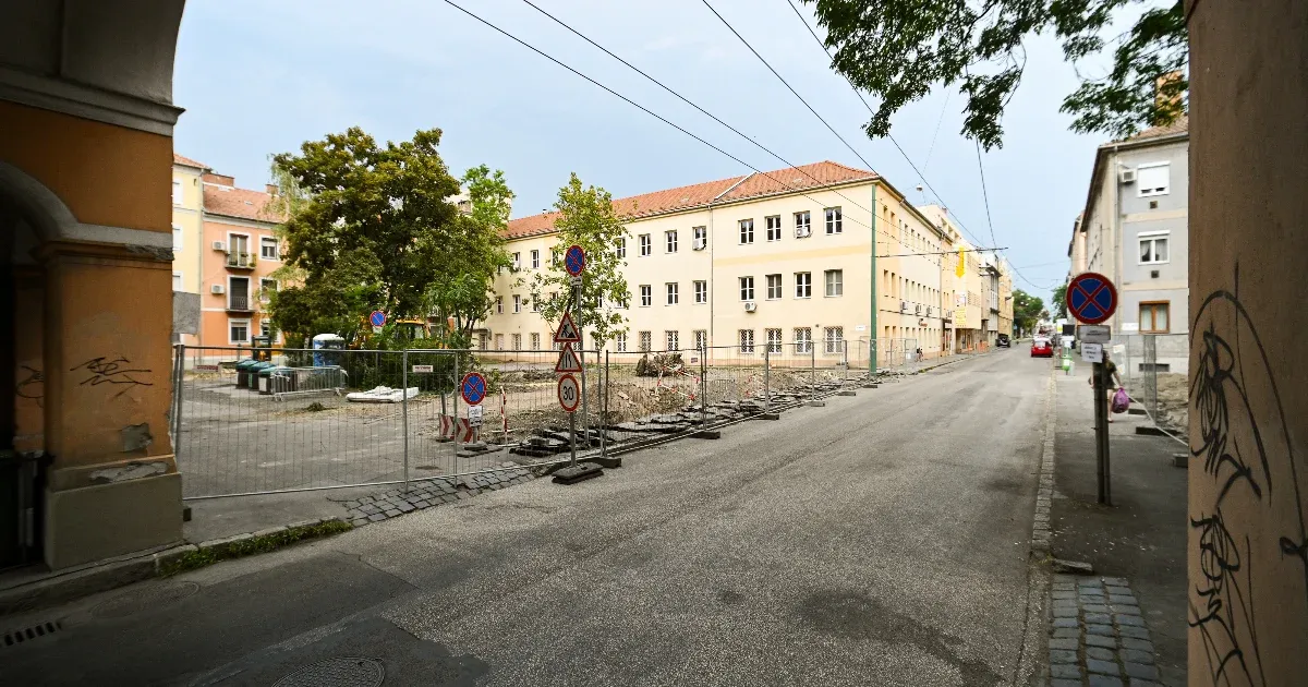 Ahol fű volt, oda nem teszünk betont – tiltakoznak a lakók a fakivágással indult szegedi parképítés miatt