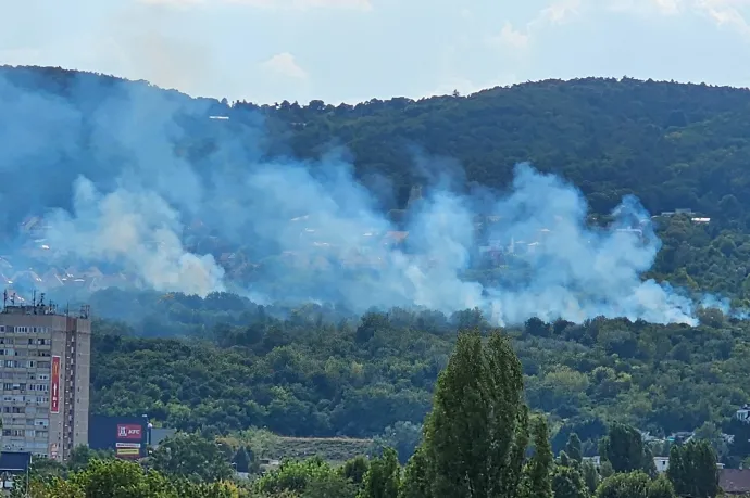 Ég az aljnövényzet a III. kerületben, a domboldalon