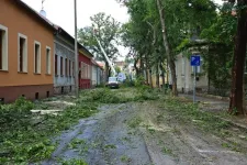 Előre tudhatták, de most, hogy látják, ledöbbentek: egy utcányi fát vágtak ki Sopronban