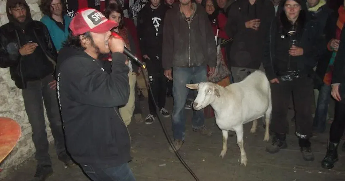 A francia kecske, ami imádta a punkot és a grindcore-t