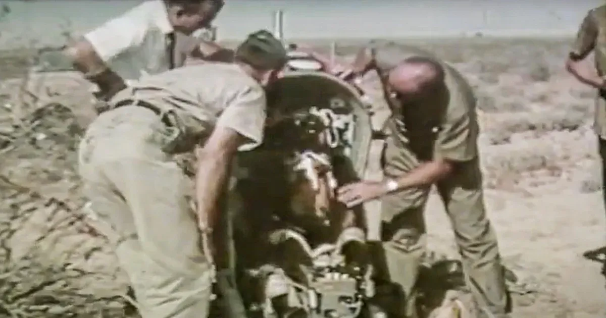 Az amerikai légierő egy időben élő, begyógyszerezett medvékkel tesztelte egy repülőgép katapultját