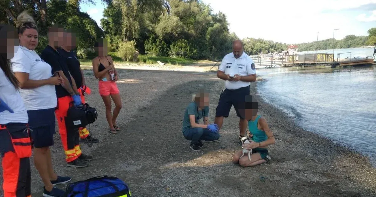 Vízbe akarta fojtani magát egy nő a Dunán, kutyája is vele volt a SUP-on