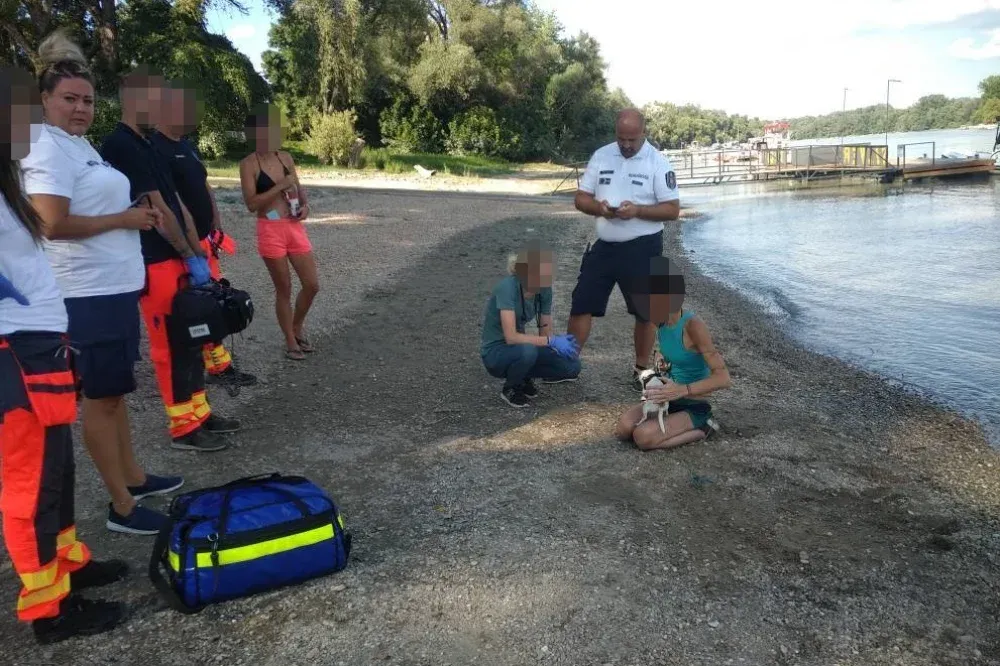 Vízbe akarta fojtani magát és kutyáját egy nő a Dunán